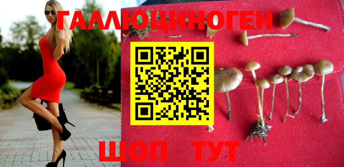 Галлюциногенные грибы MAGIC MUSHROOMS Абинск